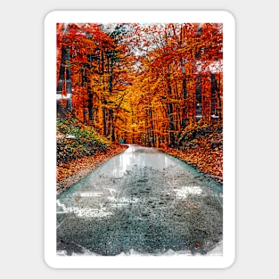 Autumn Vibes In Hungarian Forest Sticker